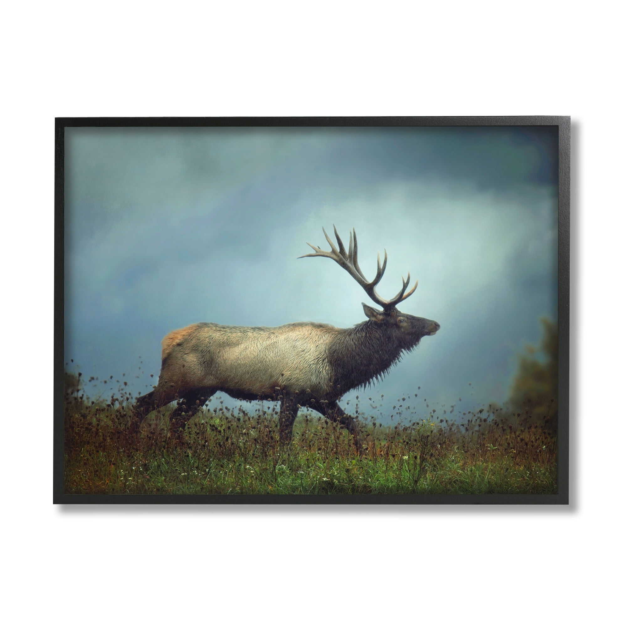 Stupell Industries Serene Elk in Nighttime Clearing Wildlife Photography Photograph Black Framed Art Print Wall Art, Design by Carrie Ann Grippo-Pike