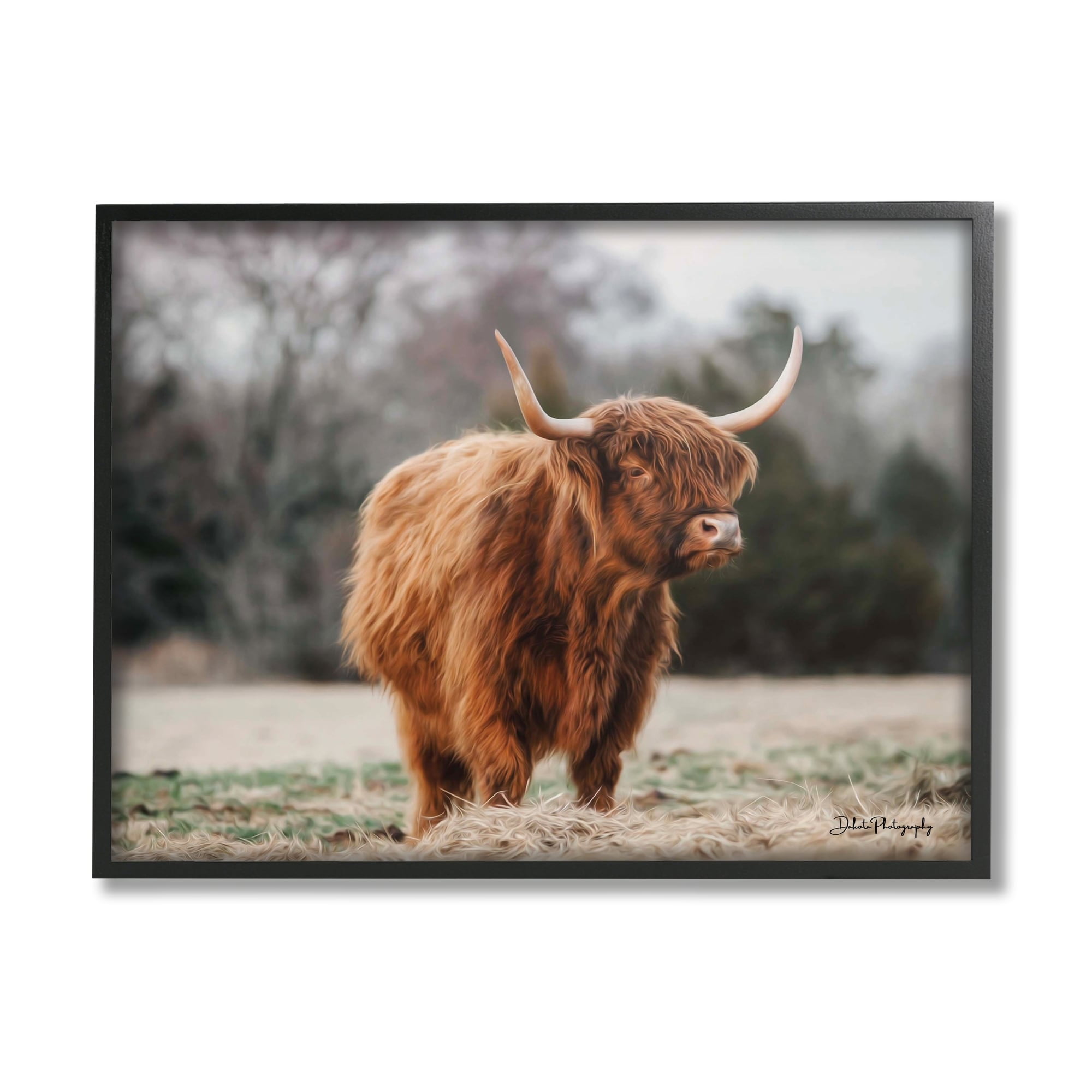 Stupell Industries Serene Highland Cattle Rural Pasture Daylight Sun Photograph Black Framed Art Print Wall Art, Design by Dakota Diener