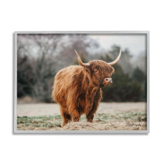 Stupell Industries Serene Highland Cattle Rural Pasture Daylight Sun Photograph Gray Framed Art Print Wall Art, Design by Dakota Diener