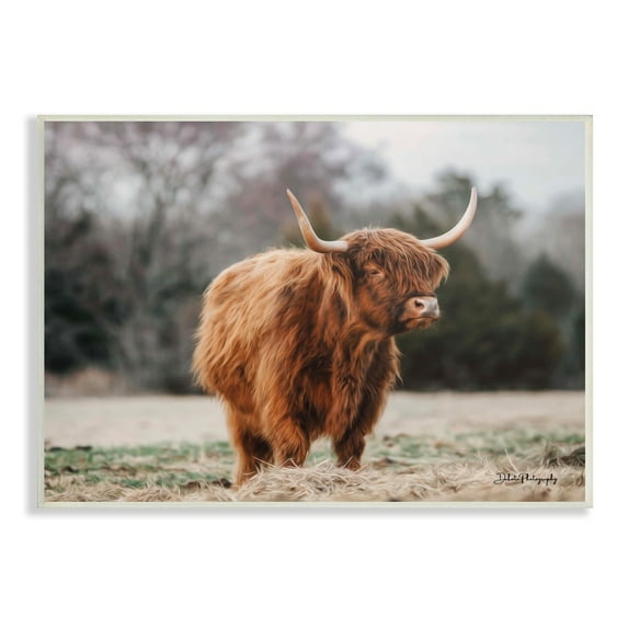 Stupell Industries Serene Highland Cattle Rural Pasture Daylight Sun Photograph Unframed Art Print Wall Art, Design by Dakota Diener
