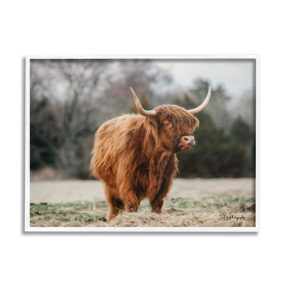 Stupell Industries Serene Highland Cattle Rural Pasture Daylight Sun Photograph White Framed Art Print Wall Art, Design by Dakota Diener