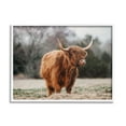 thumbnail image 1 of Stupell Industries Serene Highland Cattle Rural Pasture Daylight Sun Photograph White Framed Art Print Wall Art, Design by Dakota Diener, 1 of 5