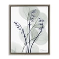 thumbnail image 1 of Stupell Industries Contemporary Serene Modern Eucalyptus Brown Floating Frame Canvas Art, 17 x 21, by Albert Koetsier, 1 of 7