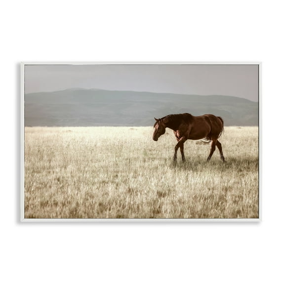 Stupell Industries Serene Montana Stallion White Framed Giclee Art, design by Christy Berry