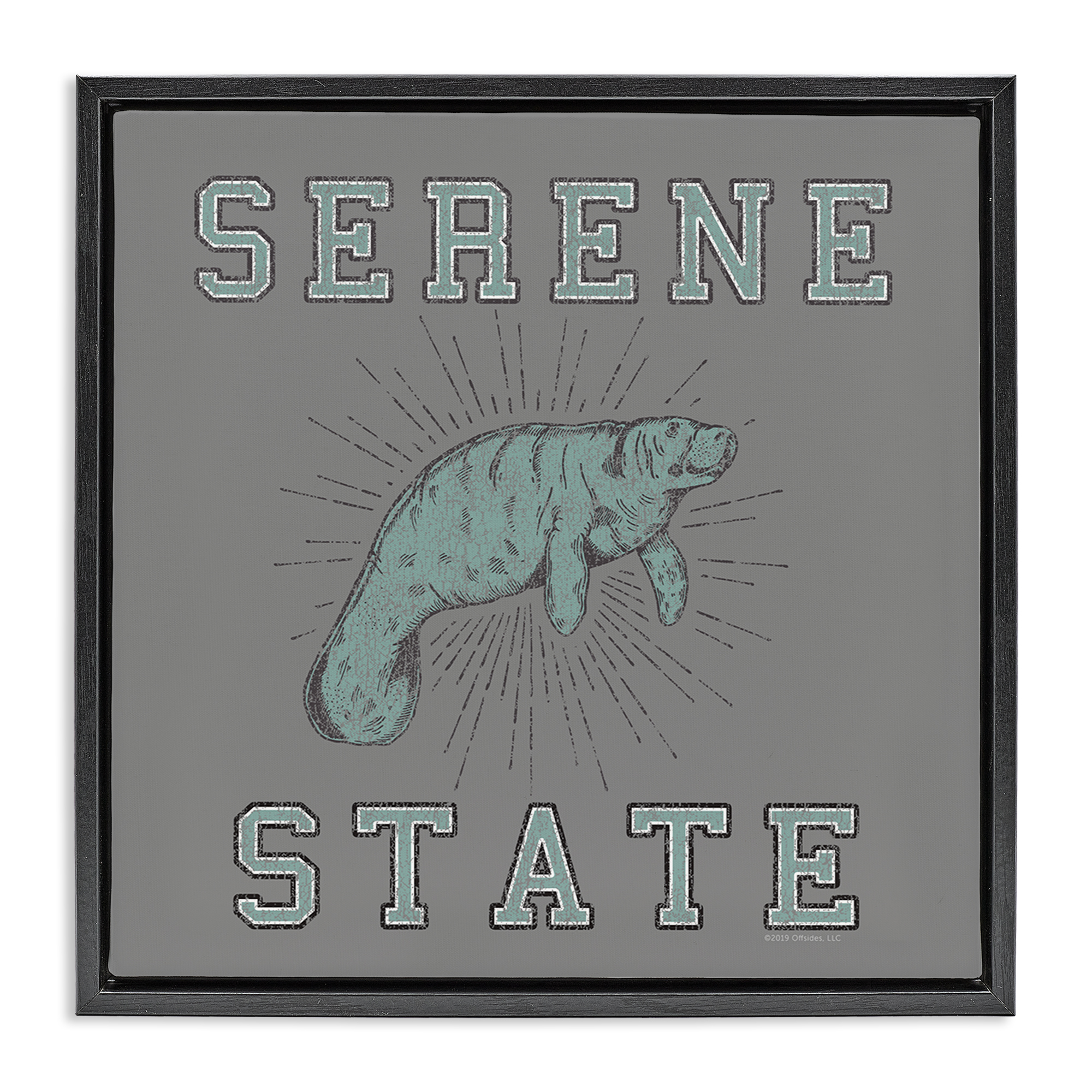 Stupell Industries Serene State Manatee Animals Painting Black Floater Framed Canvas Art Print Wall Art, 18 x 18