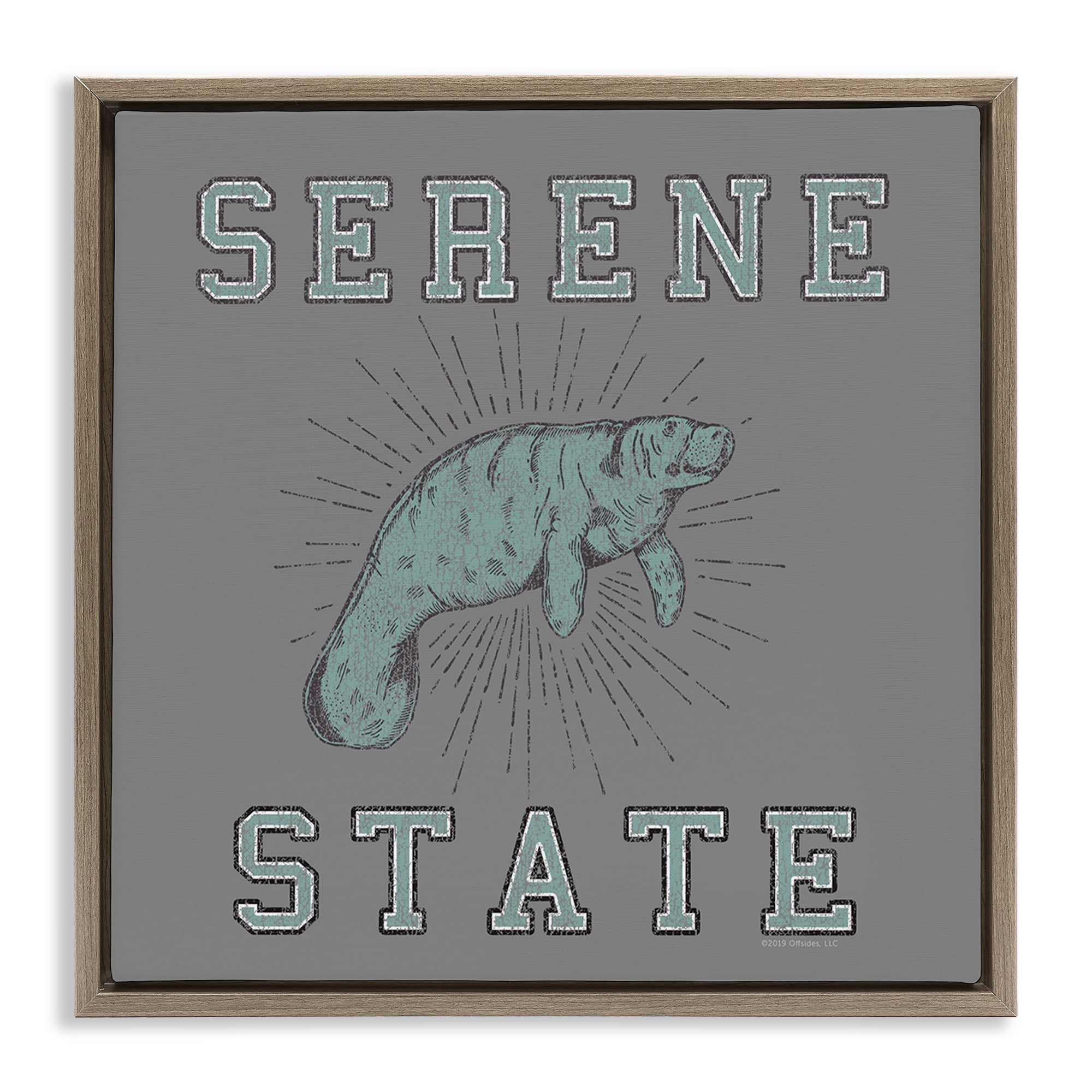 Stupell Industries Serene State Manatee Animals Painting Brown Floater Framed Canvas Art Print Wall Art, 25 x 25