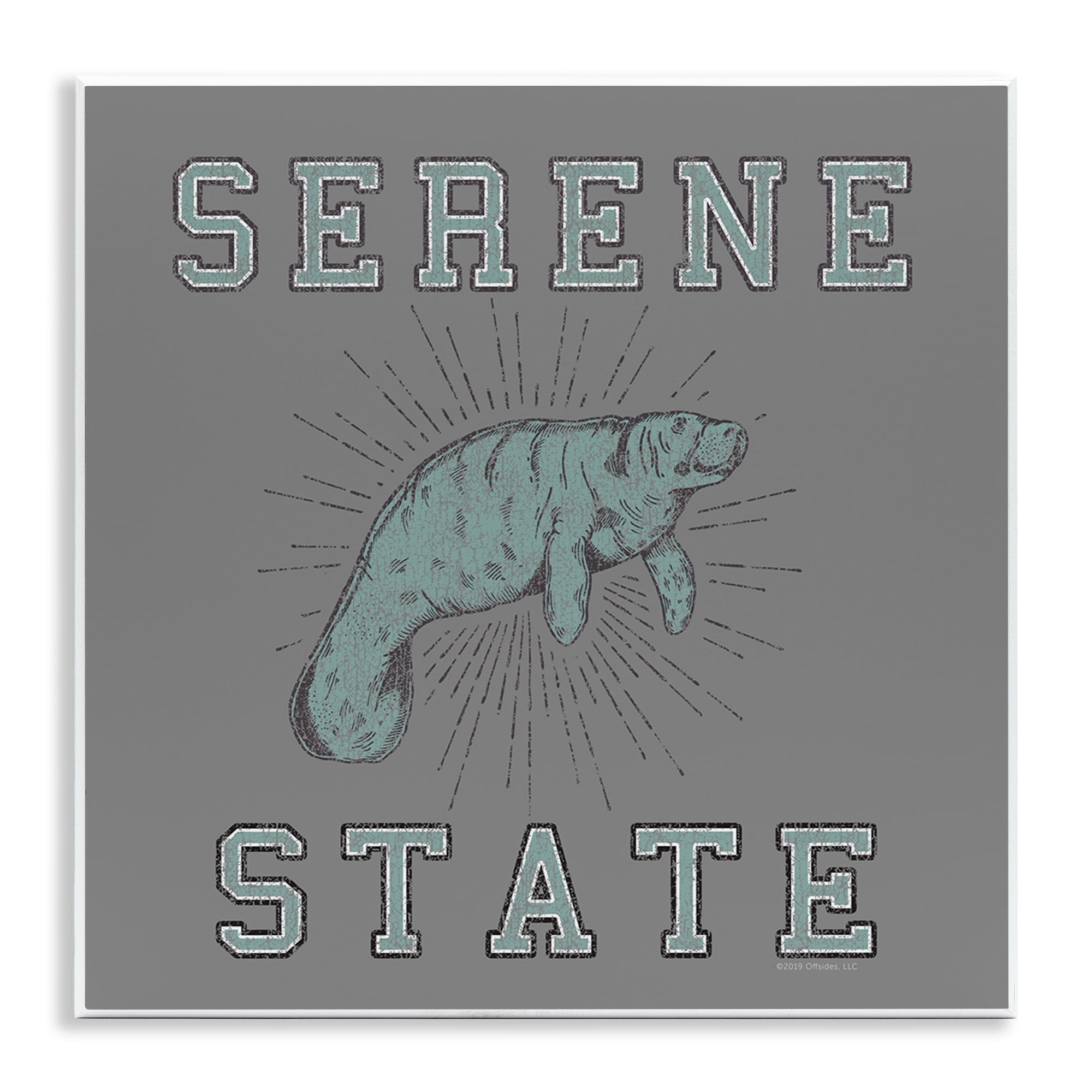 Stupell Industries Serene State Manatee Animals Painting Unframed Art Print Wall Art, 12 x 12