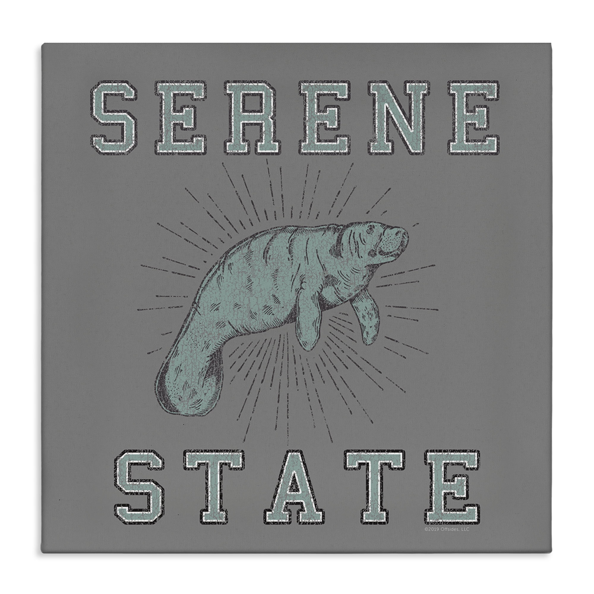 Stupell Industries Serene State Manatee Animals Painting Wrapped Canvas Art Print Wall Art, 24 x 24