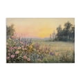 thumbnail image 1 of Stupell Industries Traditional Serene Twilight Meadow Canvas Art, 30 x 20, by Petals Prints Design, 1 of 8