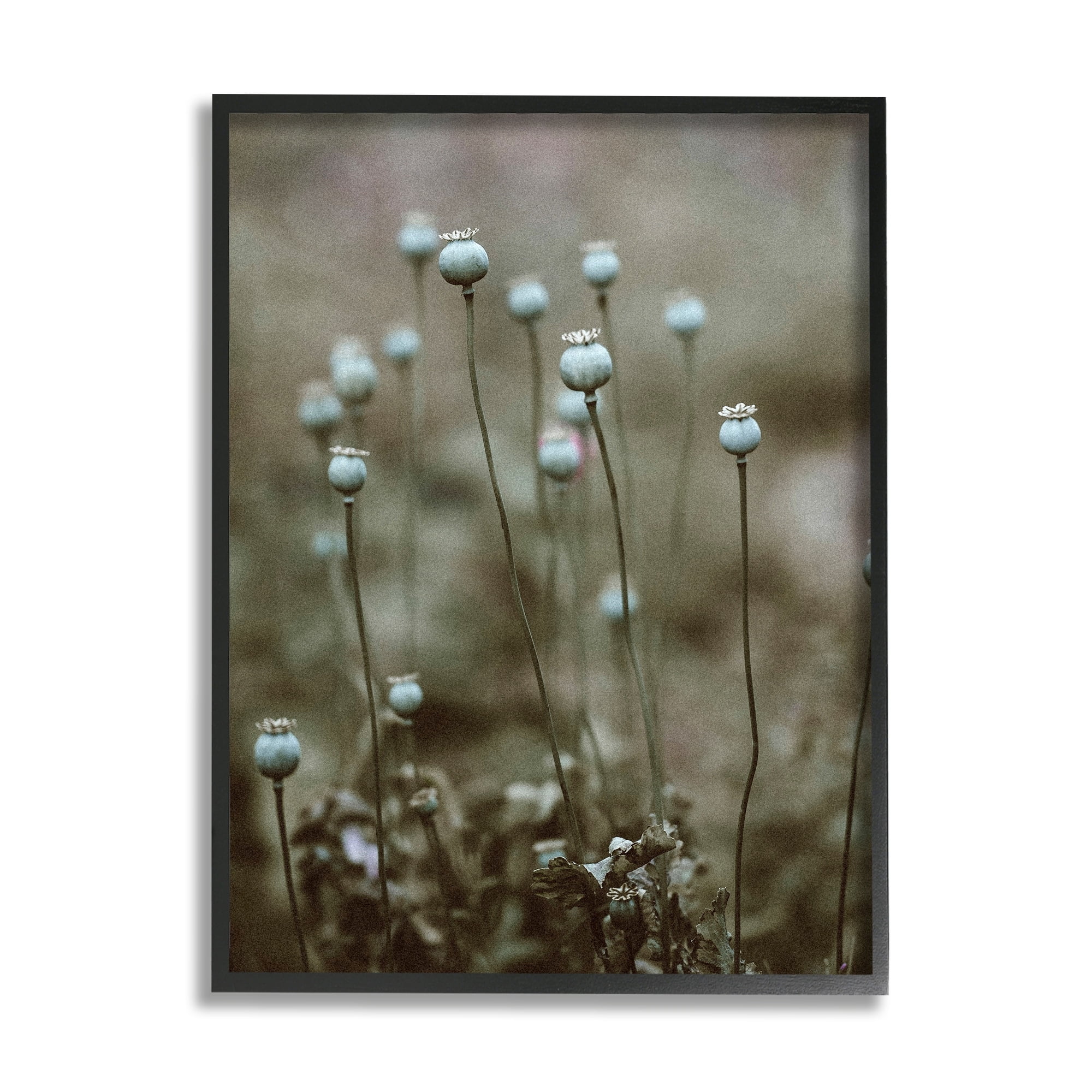 Stupell Industries Serene White Floral Bulb Woodland Photography , 24 x 30, Design by Incado