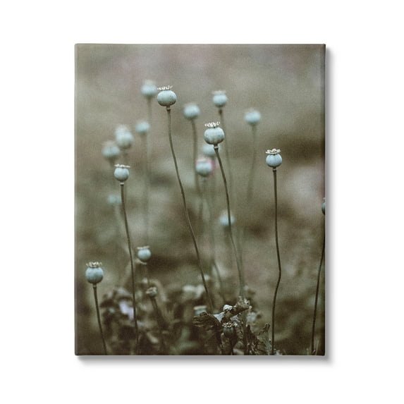 Stupell Industries Serene White Floral Bulb Woodland Photography , 30 x 40, Design by Incado