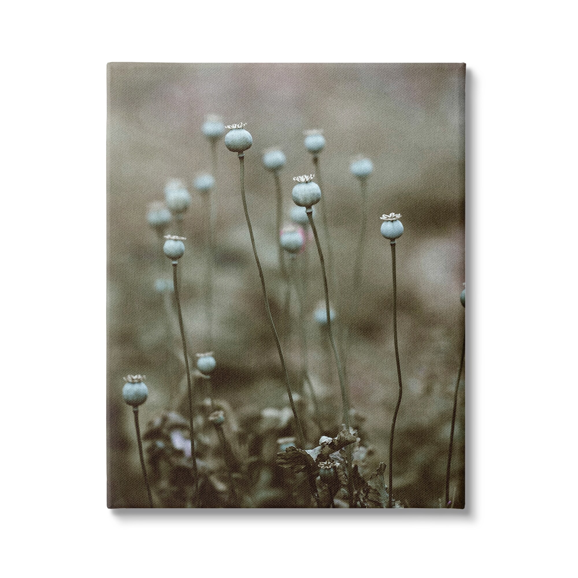 Stupell Industries Serene White Floral Bulb Woodland Photography Gallery-Wrapped Canvas Print Wall Art, 16x20, by Incado