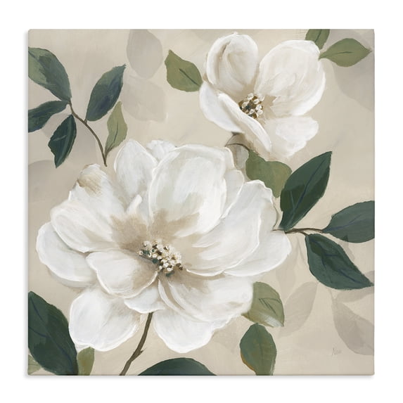 Stupell Industries Shabby Chic Serene White Magnolia Study Canvas Art, 30 x 30, by Nan
