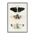 thumbnail image 1 of Stupell Industries Shabby Chic Black Framed Giclee Art, 16 x 24, by Petals Prints Design, 1 of 8