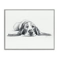 thumbnail image 1 of Stupell Industries Shabby Chic Bloodhound Pup Naptime Gray Framed Giclee Art, 30 x 24, by Lindsay Kivi Fine Art, 1 of 8