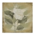 thumbnail image 1 of Stupell Industries Shabby Chic Canvas Art, 17 x 17, by Lanie Loreth, 1 of 8