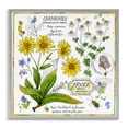 thumbnail image 1 of Stupell Industries Shabby Chic Chamomile Herb Uses Gray Framed Giclee Art, 17 x 17, by Jane Maday, 1 of 8