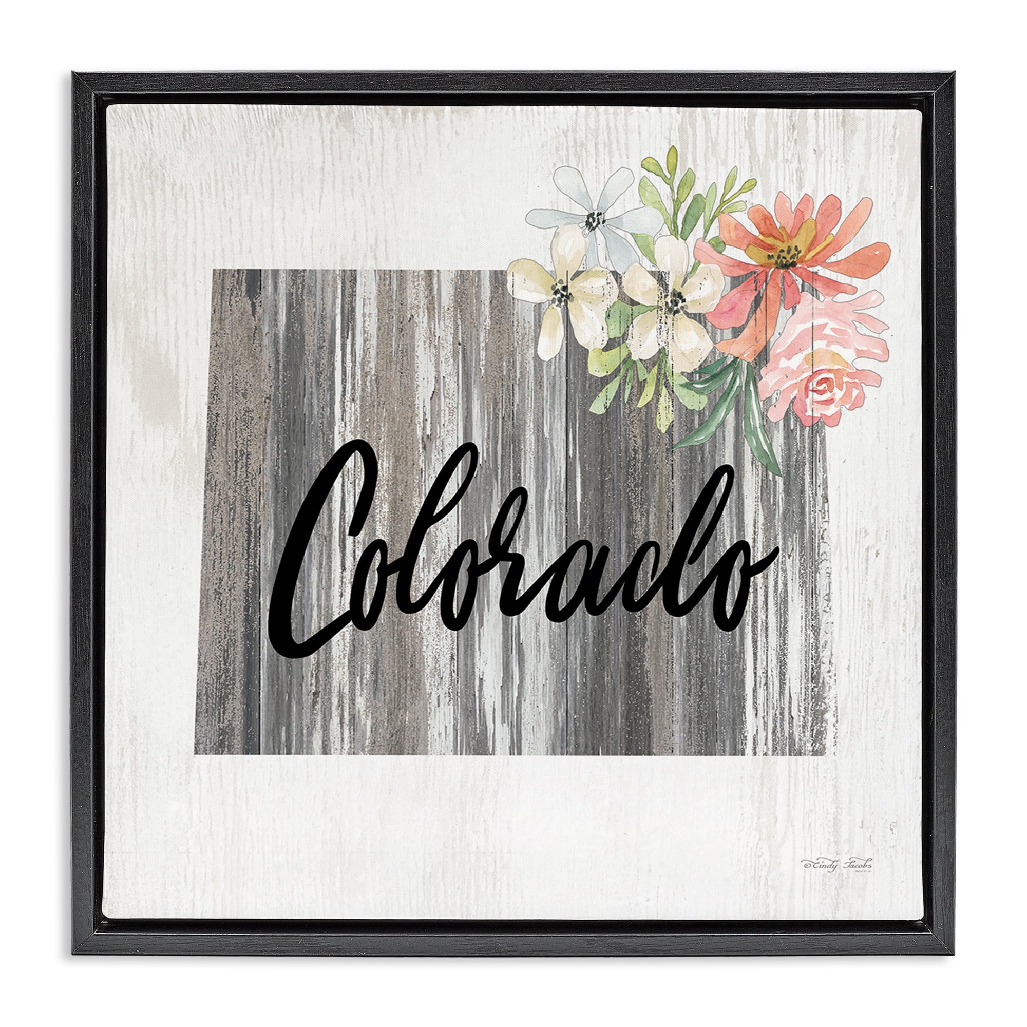 Stupell Industries Shabby Chic Colorado Botanical & Floral Painting Black Floater Framed Canvas Art Print Wall Art, 25 x 25