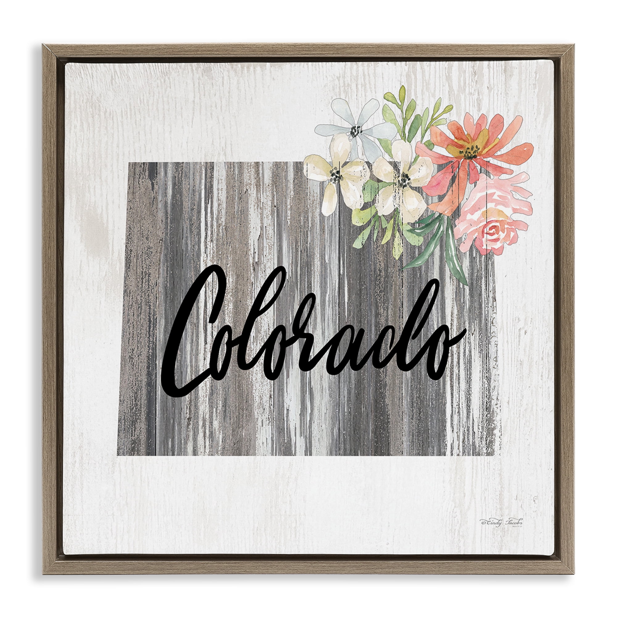 Stupell Industries Shabby Chic Colorado Botanical & Floral Painting Brown Floater Framed Canvas Art Print Wall Art, 25 x 25