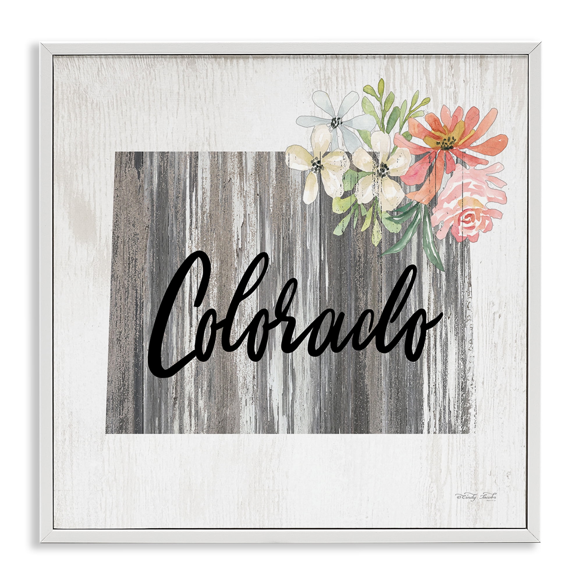 Stupell Industries Shabby Chic Colorado Botanical & Floral Painting White Framed Art Print Wall Art, 24 x 24