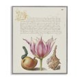 thumbnail image 1 of Stupell Industries Shabby Chic Flower & Bug Study Page Gray Framed Giclee Art, 16 x 20, by June Erica Vess, 1 of 8