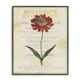 thumbnail image 1 of Stupell Industries Shabby Chic Flower over Vintage Page Black Framed Giclee Art, 16 x 20, by Susan Arnot, 1 of 7