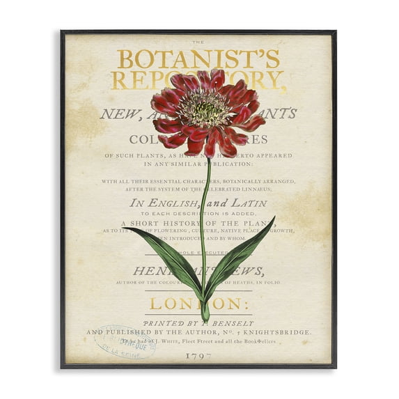 Stupell Industries Shabby Chic Flower over Vintage Page Black Framed Giclee Art, 16 x 20, by Susan Arnot