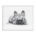 thumbnail image 1 of Stupell Industries Shabby Chic French Bulldog Naptime White Framed Giclee Art, 30 x 24, by Lindsay Kivi Fine Art, 1 of 8
