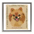 thumbnail image 1 of Stupell Industries Shabby Chic Fun Pomeranian Pet Phrases Gray Floating Frame Canvas Art, 25 x 25, by Nancy Overton, 1 of 8