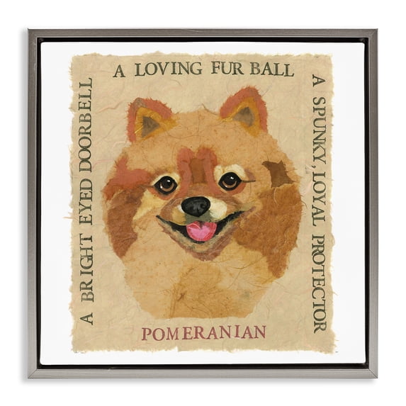 Stupell Industries Shabby Chic Fun Pomeranian Pet Phrases Gray Floating Frame Canvas Art, 25 x 25, by Nancy Overton