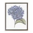 thumbnail image 1 of Stupell Industries Shabby Chic Hydrangea Sketch Blossom Brown Floating Frame Canvas Art, 25 x 31, by Cecilia Battaini, 1 of 8