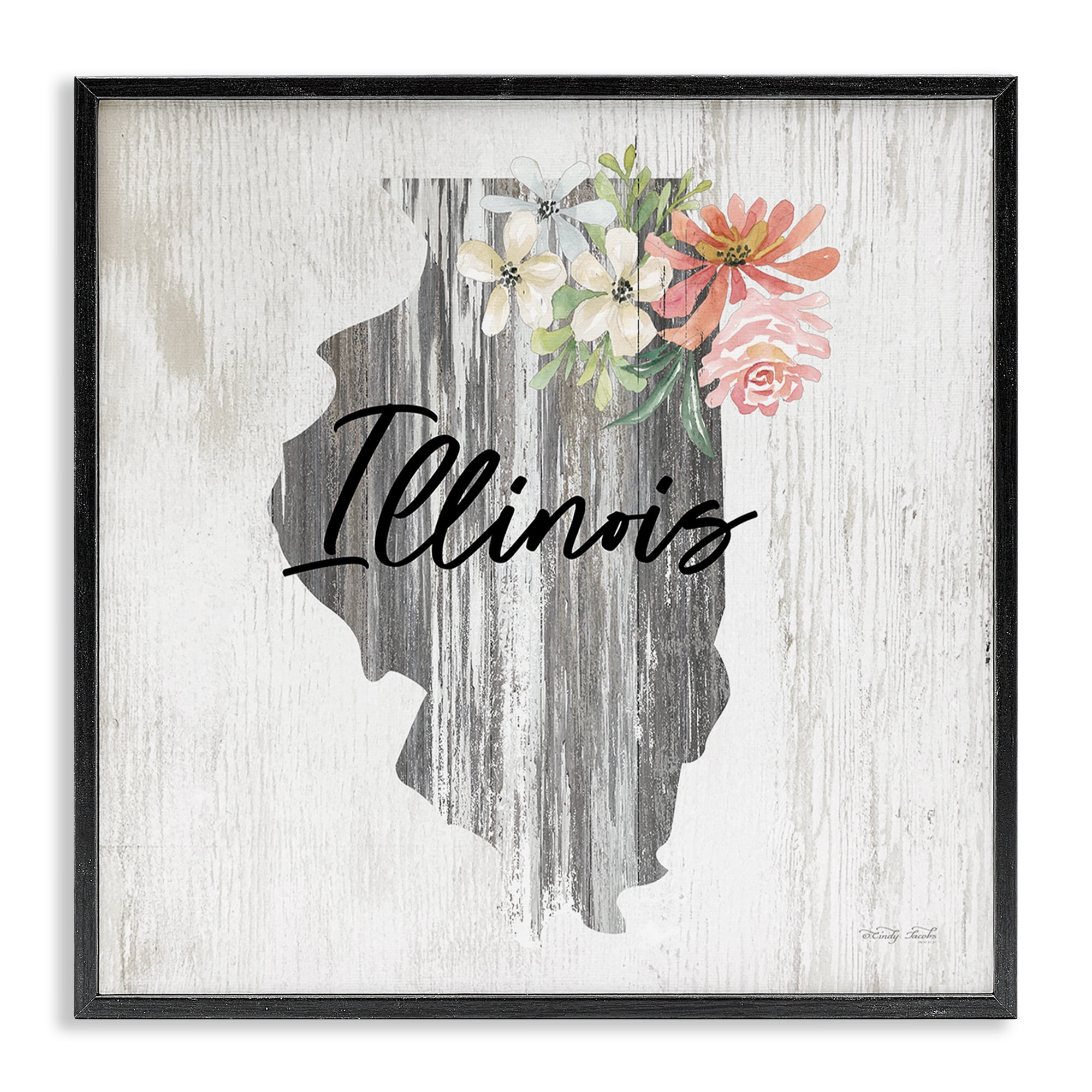 Stupell Industries Shabby Chic Illinois Botanical & Floral Painting Black Framed Art Print Wall Art, 12 x 12