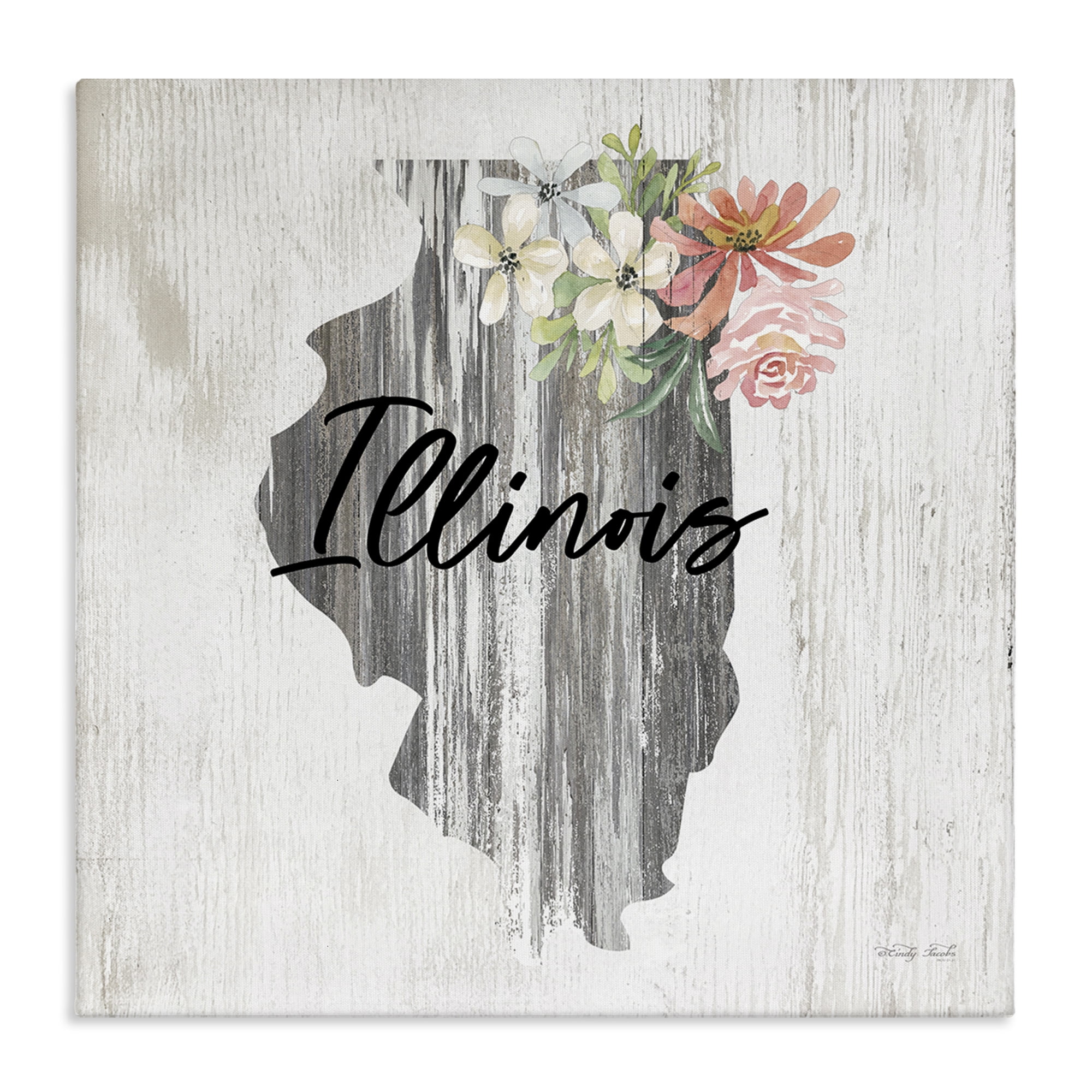 Stupell Industries Shabby Chic Illinois Botanical & Floral Painting Gallery Wrapped Canvas Art Print Wall Art, 30 x 30