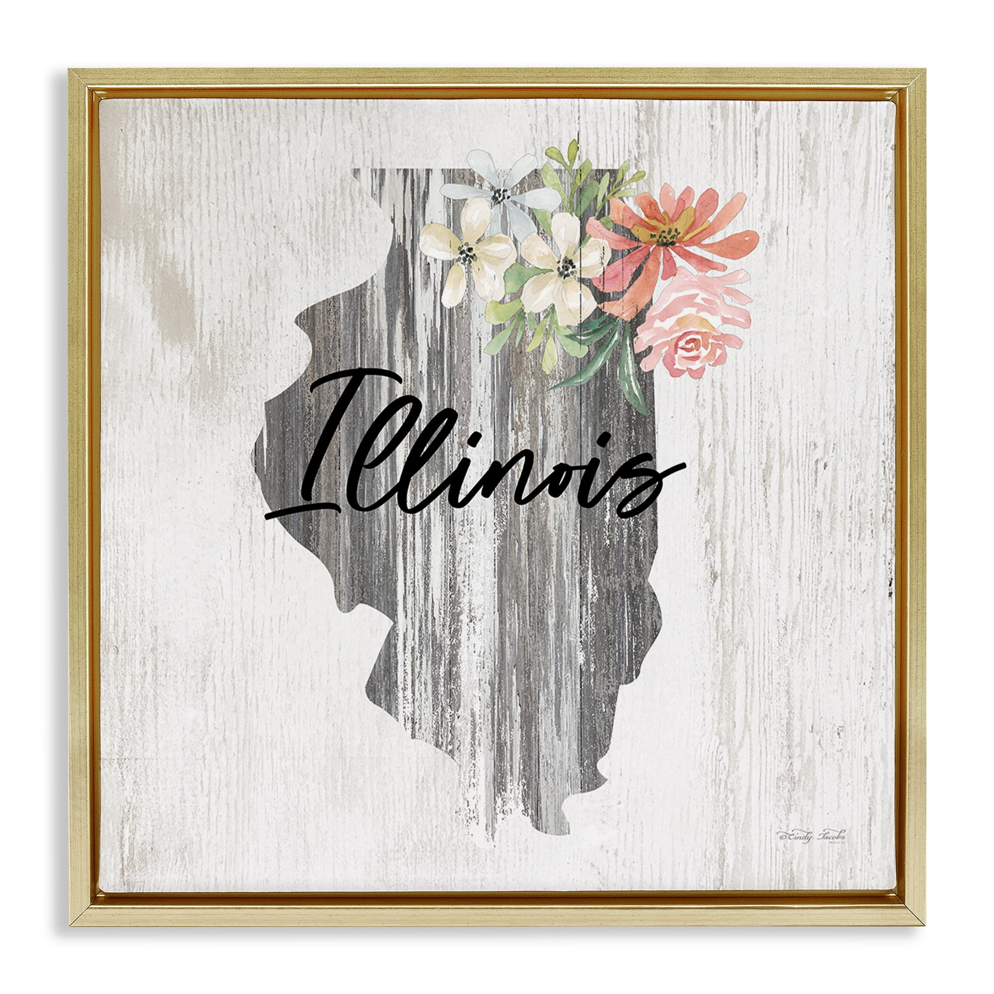 Stupell Industries Shabby Chic Illinois Botanical & Floral Painting Gold Floater Framed Canvas Art Print Wall Art, 25 x 25