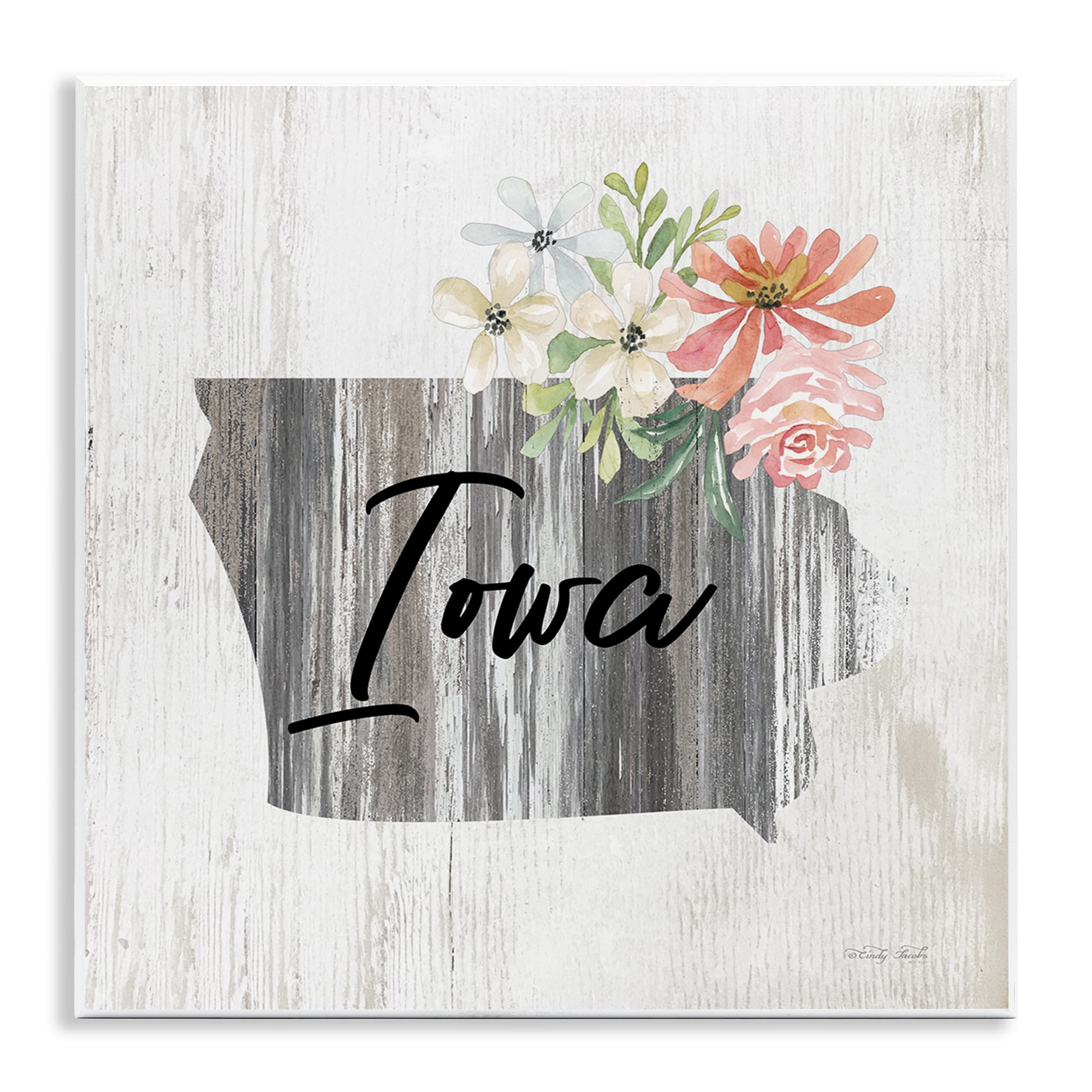 Stupell Industries Shabby Chic Iowa Botanical & Floral Painting ...