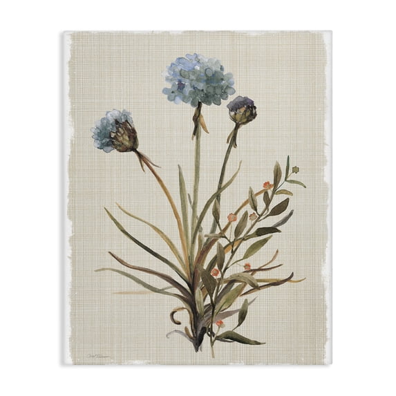 Stupell Industries Shabby Chic Natural Hydrangea Buds Canvas Art, 30 x 40, by Carol Robinson
