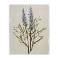 thumbnail image 1 of Stupell Industries Shabby Chic Natural Lavender Sprigs Canvas Art, 16 x 20, by Carol Robinson, 1 of 7