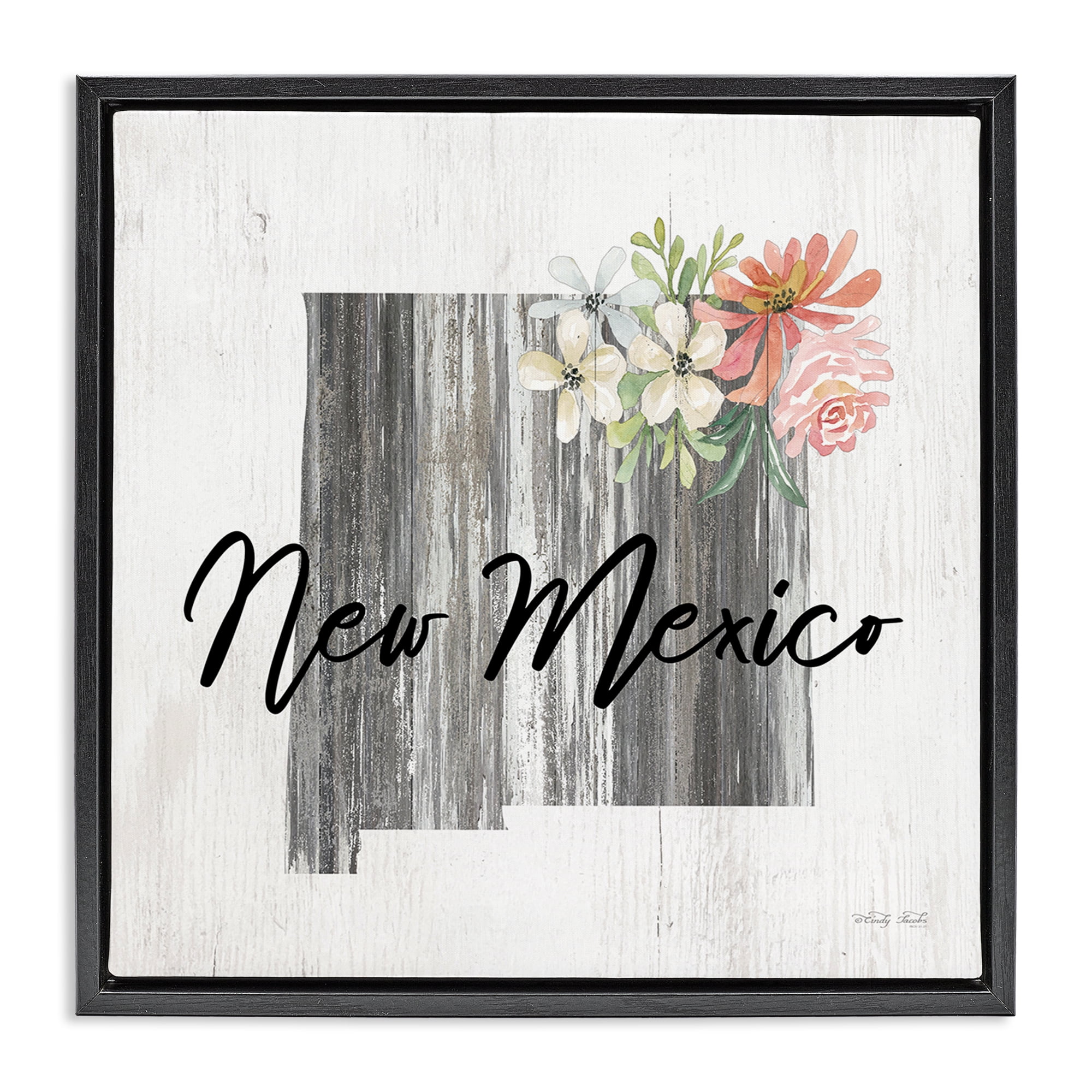 Stupell Industries Shabby Chic New Mexico Botanical & Floral Painting Black Floater Framed Canvas Art Print Wall Art, 25 x 25