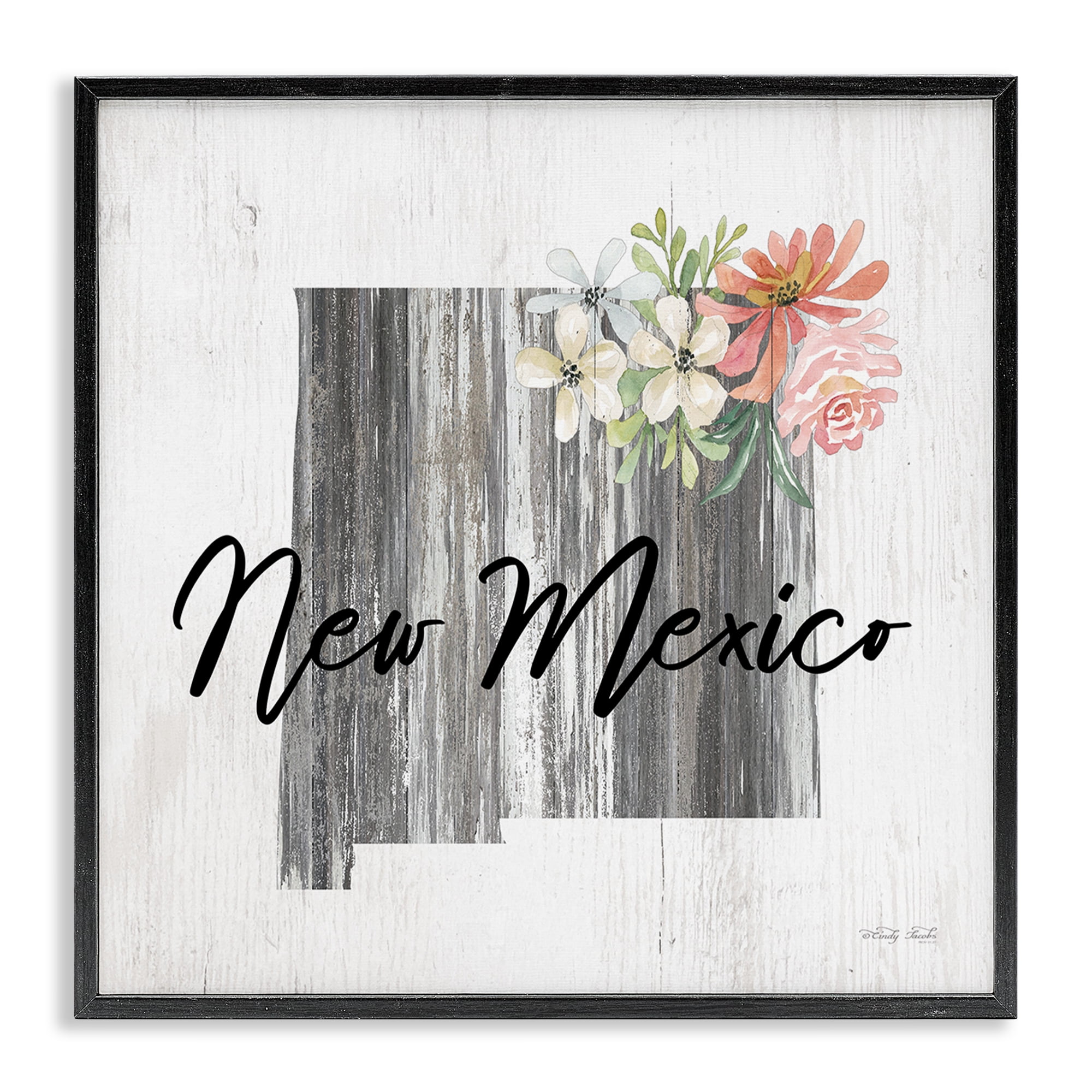 Stupell Industries Shabby Chic New Mexico Botanical & Floral Painting Black Framed Art Print Wall Art, 17 x 17