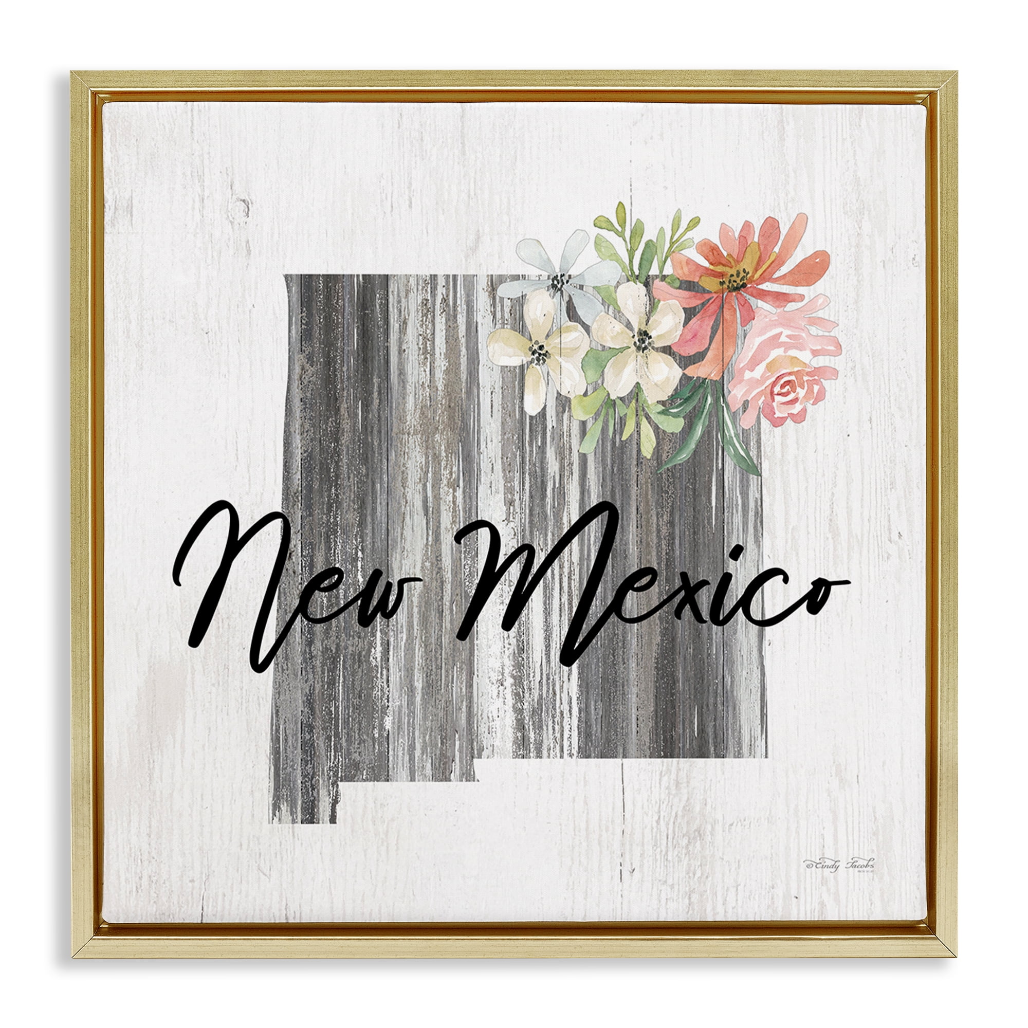 Stupell Industries Shabby Chic New Mexico Botanical & Floral Painting Gold Floater Framed Canvas Art Print Wall Art, 25 x 25