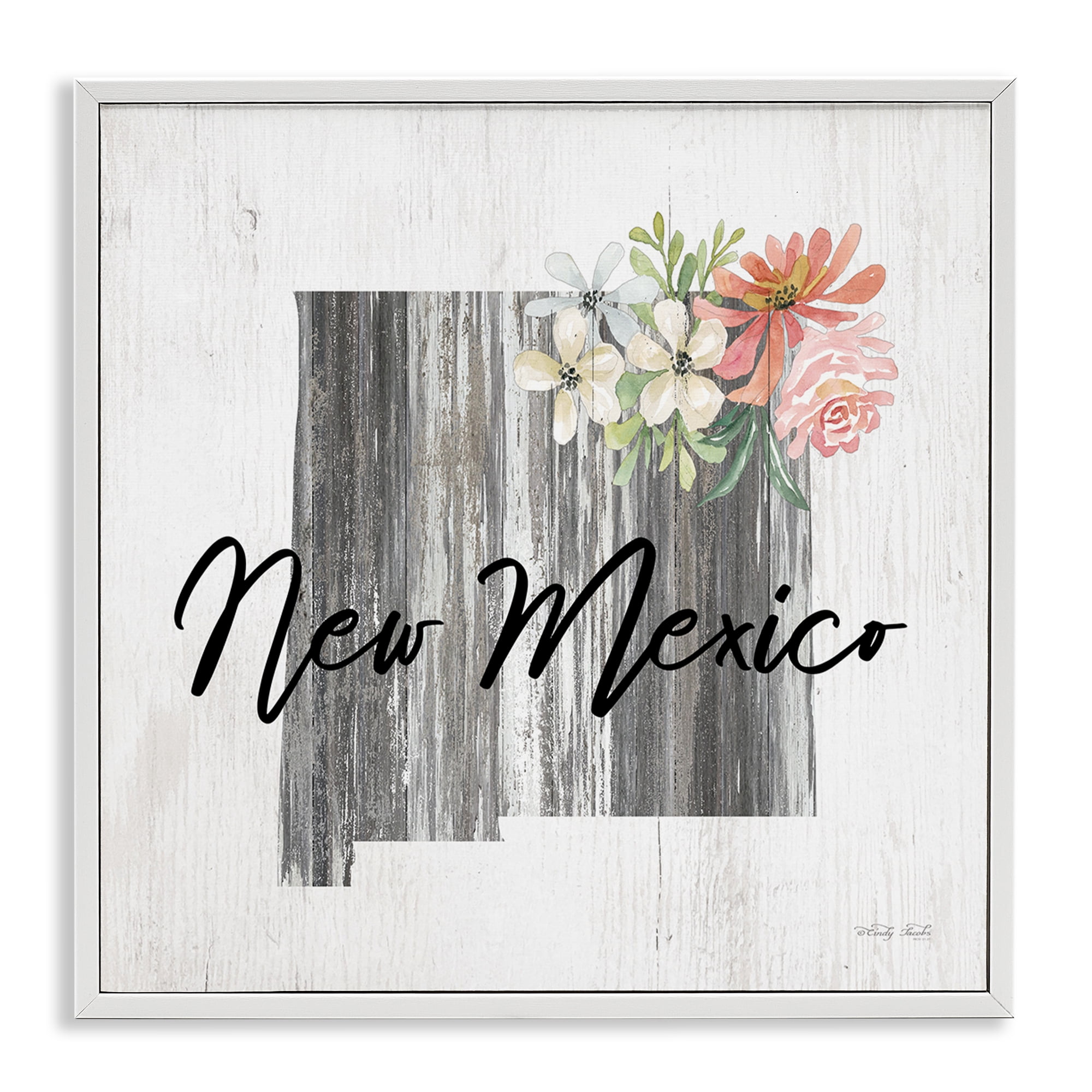 Stupell Industries Shabby Chic New Mexico Botanical & Floral Painting White Framed Art Print Wall Art, 12 x 12