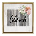 thumbnail image 1 of Stupell Industries Shabby Chic Shabby Chic Colorado Gold Floating Frame Canvas Art, 18 x 18, by Cindy Jacobs, 1 of 8