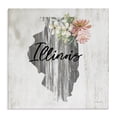thumbnail image 1 of Stupell Industries Shabby Chic Shabby Chic Illinois Canvas Art, 17 x 17, by Cindy Jacobs, 1 of 8
