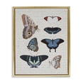 thumbnail image 1 of Stupell Industries Shabby Chic Various Vintage Butterflies Gold Floating Frame Canvas Art, 17 x 21, by Lil' Rue, 1 of 8
