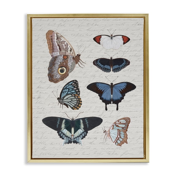 Stupell Industries Shabby Chic Various Vintage Butterflies Gold Floating Frame Canvas Art, 17 x 21, by Lil' Rue