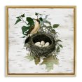 thumbnail image 1 of Stupell Industries Shabby Chic Vintage Bird Nest & Flora Gold Floating Frame Canvas Art, 18 x 18, by Susan Arnot, 1 of 7
