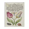 thumbnail image 1 of Stupell Industries Shabby Chic Vintage Intertwined Flowers Canvas Art, 30 x 40, by June Erica Vess, 1 of 8