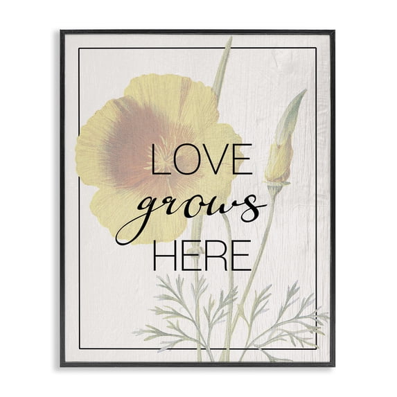 Stupell Industries Shabby Chic Vintage Love Grows Here Black Framed Giclee Art, 16 x 20, by Lil' Rue
