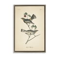 thumbnail image 1 of Stupell Industries Shabby Chic Vintage Warbler Page Brown Floating Frame Canvas Art, 21 x 31, by Wild Apple Portfolio, 1 of 8