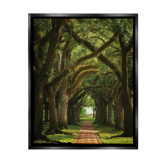 Stupell Industries Shadowed Tree Grove Landscape Photography Black Floater Framed Canvas Art Print Wall Art, 17 x 21